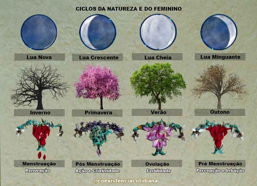 a Lua Feminina , Ciclos Menstruais do Sagrado Feminino