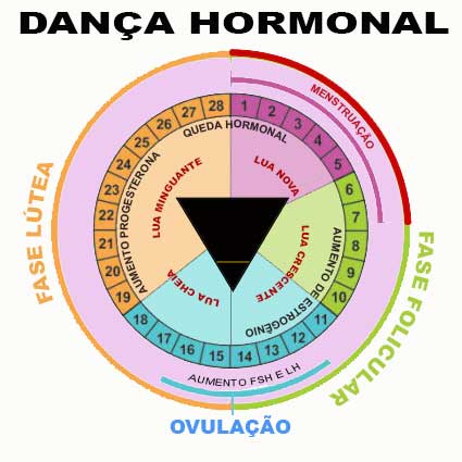 Hormônios do Ciclo Menstrual Completo